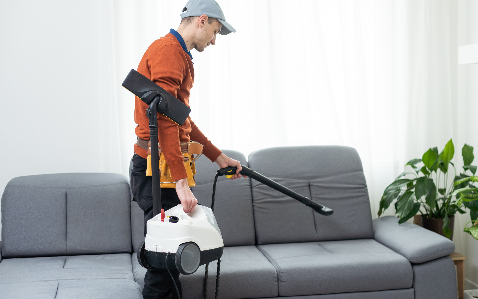 Upholstery Cleaning